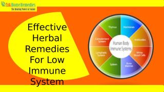 Herbal Immunity Boosting Supplements To Increase Immunity Of Body.pptx