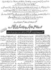 An Interview with the wife of Dr Israr Ahmed.pdf