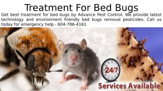 Treatment For Bed Bugs - Advancepest.pptx