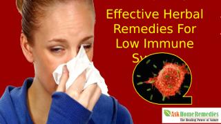 Effective Herbal Remedies For Low Immune System (1).pptx