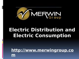 Electric Distribution and Electric Consumption - www.merwingroup.com (8).pptx