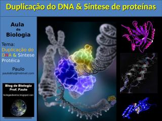 Ácidos Nucleicos - Duplicação do DNA e Síntese Protéica.pps