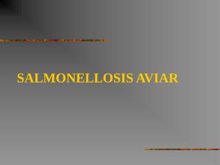 SALMONELLOSIS_AVIAR[1].ppt